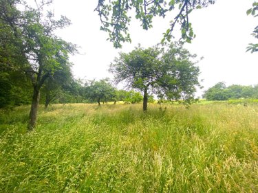 Terrain a batir a vendre La Chapelle Bouëxic 35330 Ille-et-Vilaine 1820 m2  58000 euros