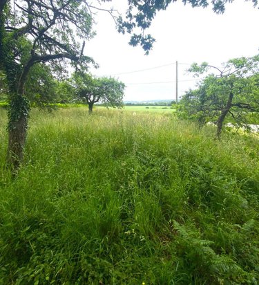 Terrain a batir a vendre La Chapelle Bouëxic 35330 Ille-et-Vilaine 1820 m2  58000 euros