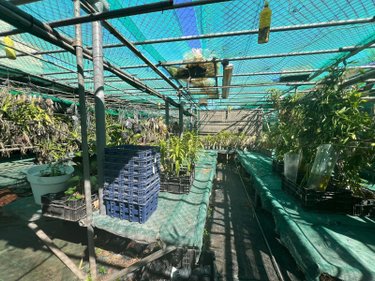 Terrain a batir a vendre Sainte-Clotilde 97490 Réunion 700 m2  468500 euros