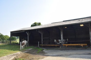 Bien agricole a vendre Parigné-sur-Braye 53100 Mayenne  95000 euros