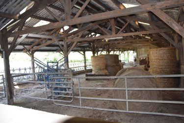 Bien agricole a vendre Parigné-sur-Braye 53100 Mayenne  95000 euros