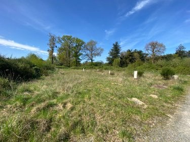 Terrain a batir a vendre Goven 35580 Ille-et-Vilaine 4855 m2  156300 euros