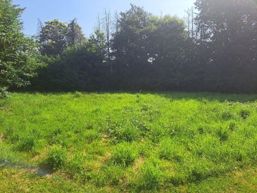 Maison a vendre Rédené 29300 Finistère 99 m2  239660 euros