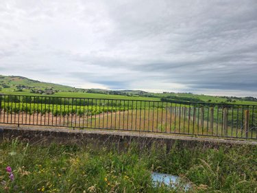 propriete a vendre La Chapelle-de-Guinchay 71570 Saône-et-Loire 350 m2 12 pièces 346500 euros