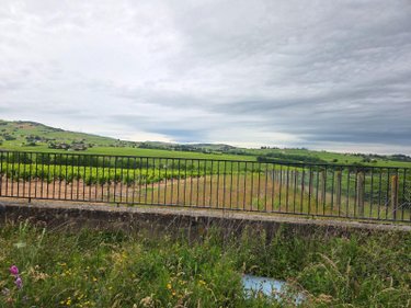 propriete viticole a vendre La Chapelle-de-Guinchay 71570 Saône-et-Loire 350 m2  346500 euros