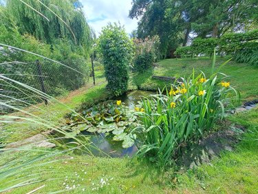 Maison a vendre Le Molay-Littry 14330 Calvados 130 m2 5 pièces 256500 euros
