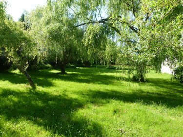 Maison a vendre Bétête 23270 Creuse 110 m2 2 pièces 208000 euros