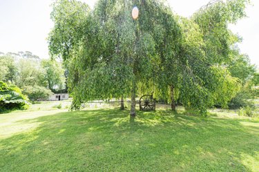 propriete a vendre Garlan 29610 Finistère 810 m2 30 pièces 1575000 euros