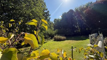 propriete a vendre Borre 59190 Nord 207 m2 7 pièces 430000 euros