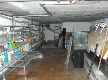 Maison a vendre Uxegney 88390 Vosges 125 m2 5 pièces 208000 euros