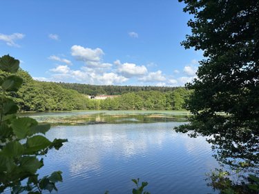 Terrains de loisirs bois etangs a vendre Le Val-d'Ajol 88340 Vosges 26081 m2  262000 euros