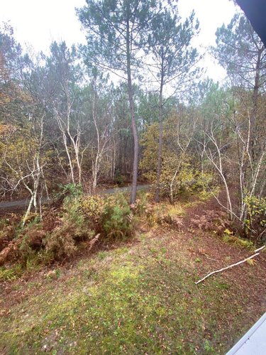 Maison a vendre Lacanau 33680 Gironde 59 m2 3 pièces 293000 euros