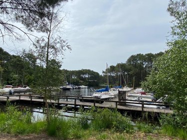 Maison a vendre Lacanau 33680 Gironde 59 m2 3 pièces 293000 euros