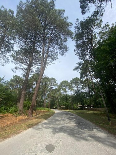 Maison a vendre Lacanau 33680 Gironde 59 m2 3 pièces 293000 euros