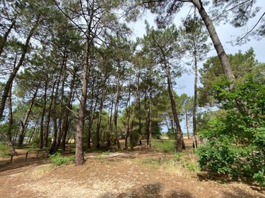 Maison a vendre Lacanau 33680 Gironde 59 m2 3 pièces 293000 euros