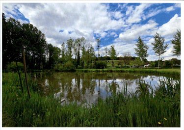 Terrains de loisirs bois etangs a vendre Raye-sur-Authie 62140 Pas-de-Calais 12700 m2  84800 euros