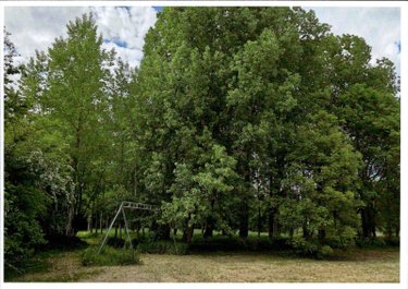 Terrains de loisirs bois etangs a vendre Raye-sur-Authie 62140 Pas-de-Calais 12700 m2  84800 euros