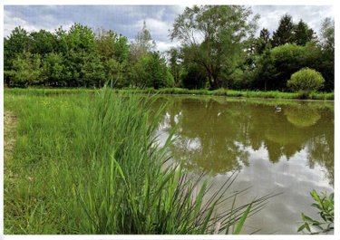 Terrains de loisirs bois etangs a vendre Raye-sur-Authie 62140 Pas-de-Calais 12700 m2  84800 euros