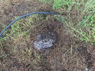 Terrain a batir a vendre Wallers en Fagne 59132 Nord 755 m2  31000 euros