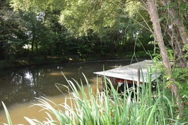 Terrains de loisirs bois etangs a vendre Martigné-sur-Mayenne 53470 Mayenne 16537 m2  95000 euros