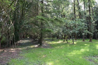 Terrains de loisirs bois etangs a vendre Martigné-sur-Mayenne 53470 Mayenne 16537 m2  105000 euros