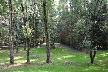 Terrains de loisirs bois etangs a vendre Martigné-sur-Mayenne 53470 Mayenne 16537 m2  105000 euros
