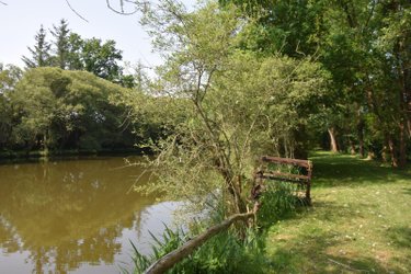 Terrains de loisirs bois etangs a vendre Martigné-sur-Mayenne 53470 Mayenne 16537 m2  105000 euros