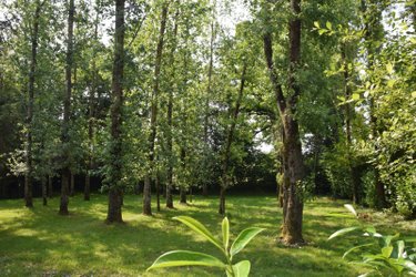 Terrains de loisirs bois etangs a vendre Martigné-sur-Mayenne 53470 Mayenne 16537 m2  105000 euros