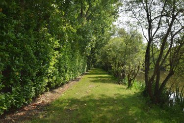 Terrains de loisirs bois etangs a vendre Martigné-sur-Mayenne 53470 Mayenne 16537 m2  95000 euros