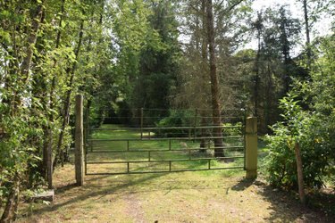 Terrains de loisirs bois etangs a vendre Martigné-sur-Mayenne 53470 Mayenne 16537 m2  95000 euros