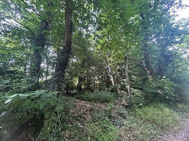 Maison a vendre Mouliherne 49390 Maine-et-Loire 250 m2 11 pièces 376200 euros