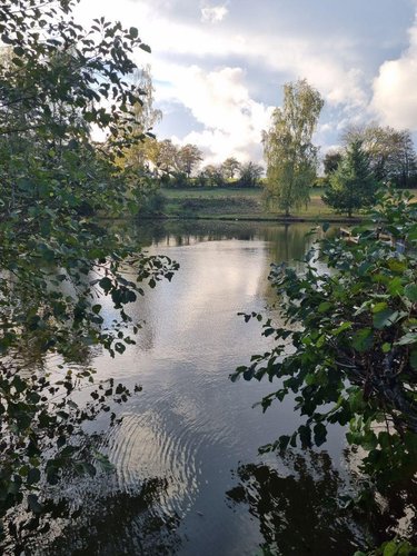 Terrains de loisirs bois etangs a vendre Lourdoueix-Saint-Michel 36140 Indre 17240 m2  27000 euros
