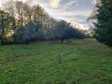 Terrains de loisirs bois etangs a vendre Lourdoueix-Saint-Michel 36140 Indre 17240 m2  27000 euros