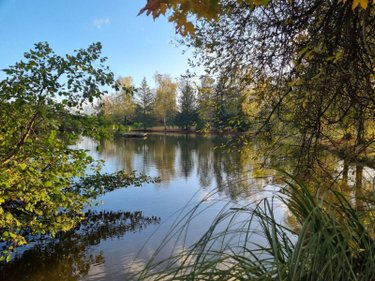 Terrains de loisirs bois etangs a vendre Lourdoueix-Saint-Michel 36140 Indre 17240 m2  27000 euros