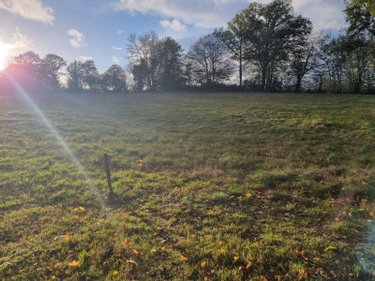 Terrains de loisirs bois etangs a vendre Lourdoueix-Saint-Michel 36140 Indre 17240 m2  27000 euros