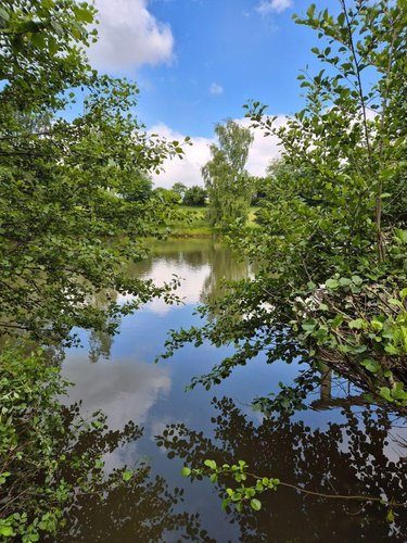 Terrains de loisirs bois etangs a vendre Lourdoueix-Saint-Michel 36140 Indre 17240 m2  27000 euros
