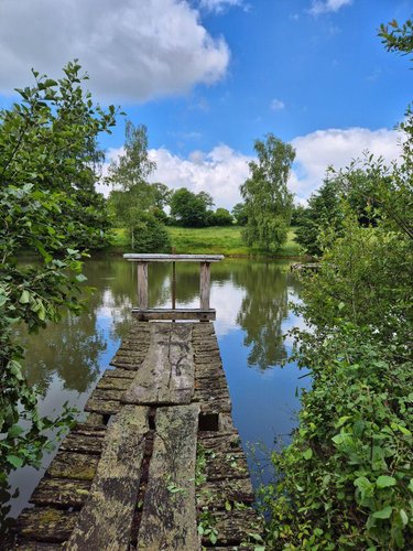 Terrains de loisirs bois etangs a vendre Lourdoueix-Saint-Michel 36140 Indre 17240 m2  27000 euros