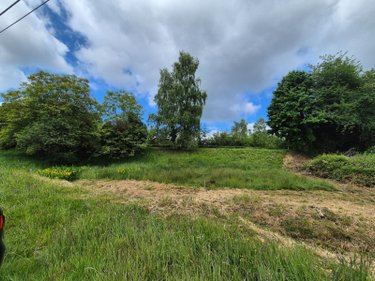 Terrains de loisirs bois etangs a vendre Lourdoueix-Saint-Michel 36140 Indre 17240 m2  27000 euros
