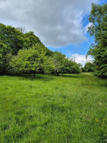 Terrains de loisirs bois etangs a vendre Lourdoueix-Saint-Michel 36140 Indre 17240 m2  27000 euros