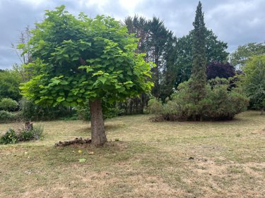 Maison a vendre Saint-Martin-de-Laye 33910 Gironde 65 m2 3 pièces 129000 euros