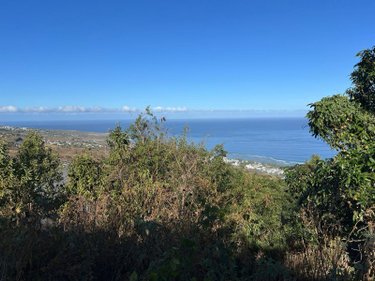 Terrain a batir a vendre Saint-Leu 97436 Réunion 1000 m2  397000 euros