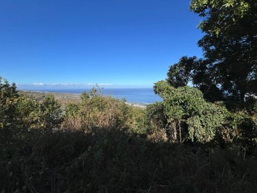 Terrain a batir a vendre Saint-Leu 97436 Réunion 1000 m2  397000 euros
