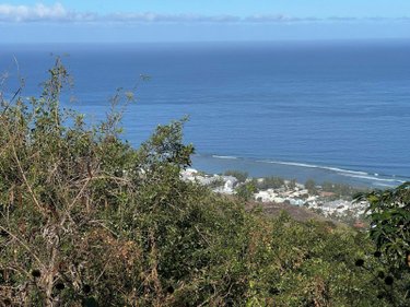 Terrain a batir a vendre Saint-Leu 97436 Réunion 1000 m2  397000 euros