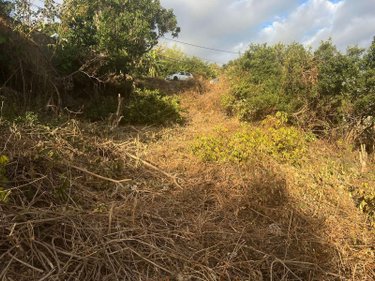 Terrain a batir a vendre Saint-Leu 97436 Réunion 1000 m2  397000 euros