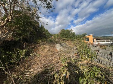 Terrain a batir a vendre Saint-Leu 97436 Réunion 1000 m2  397000 euros