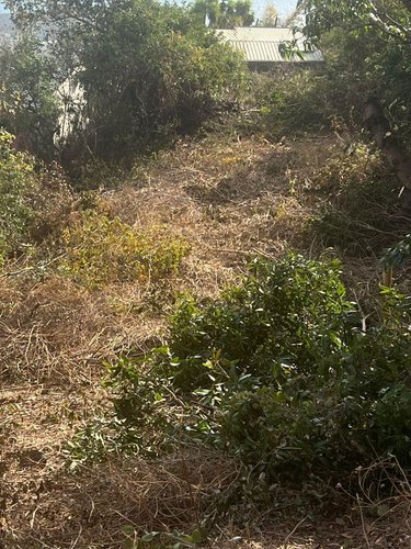 Terrain a batir a vendre Saint-Leu 97436 Réunion 1000 m2  397000 euros