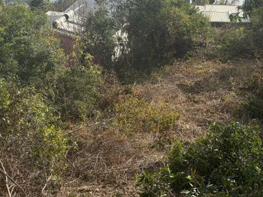 Terrain a batir a vendre Saint-Leu 97436 Réunion 1000 m2  397000 euros