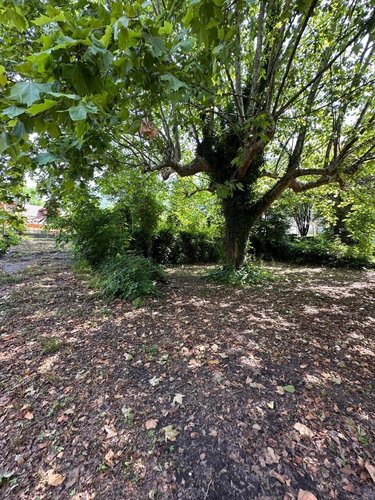Terrain a batir a vendre Serrières-en-Chautagne 73310 Savoie 3040 m2  169000 euros