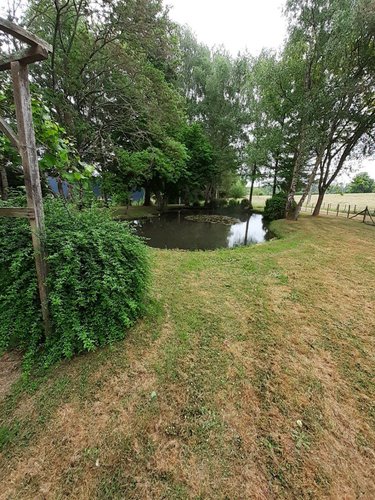 Maison a vendre Requeil 72510 Sarthe 176 m2 4 pièces 231000 euros