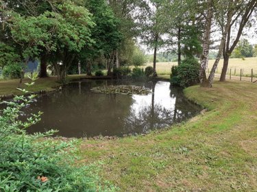 Maison a vendre Requeil 72510 Sarthe 176 m2 4 pièces 231000 euros